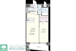 プレアデス 1LDKの間取図画像