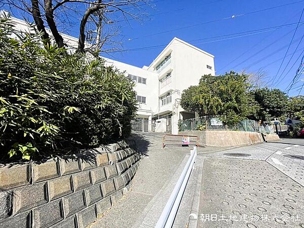 横浜市立柏尾小学校　約800ｍ