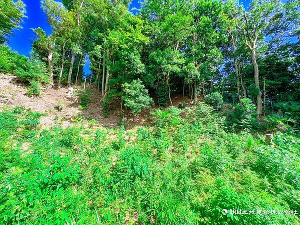 【住戸からの眺望】視界に広がる緑の景色が日々の疲れを癒してくれます。