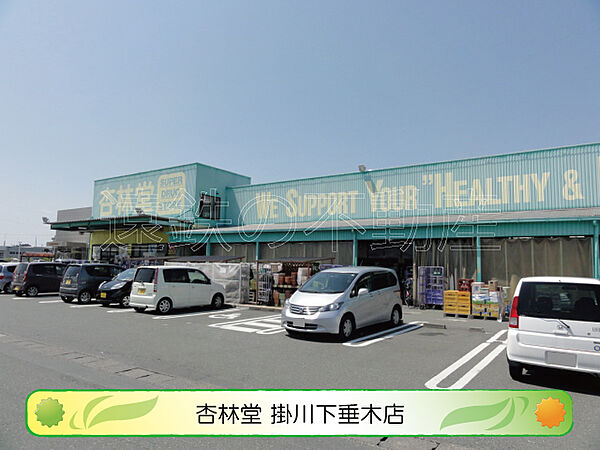 杏林堂薬局 掛川下垂木店（950m）