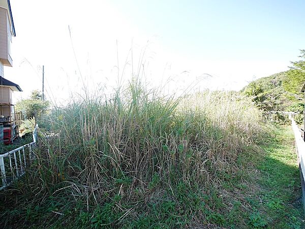 外観：308000132622