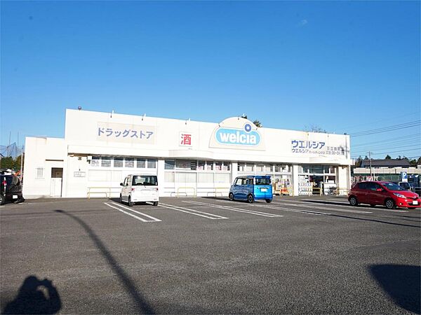 ウエルシア日立田尻店（217m）