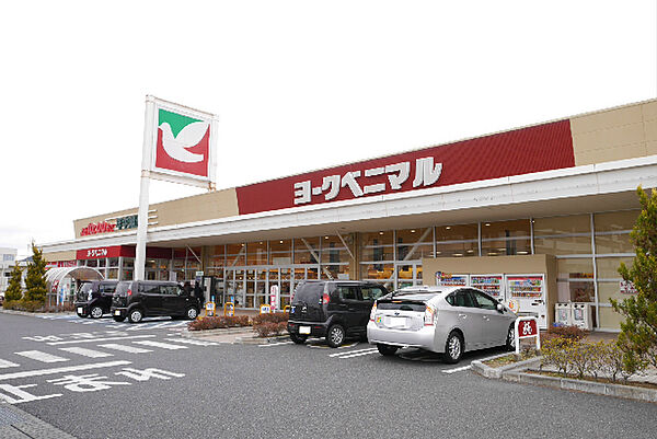 ヨークベニマル 日立会瀬店（1168m）