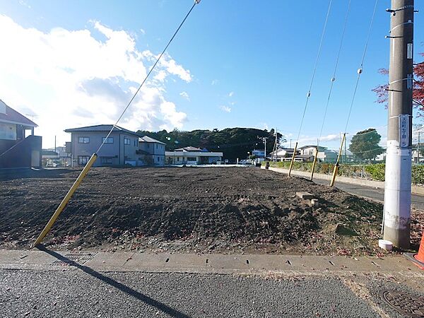 外観：308000132716