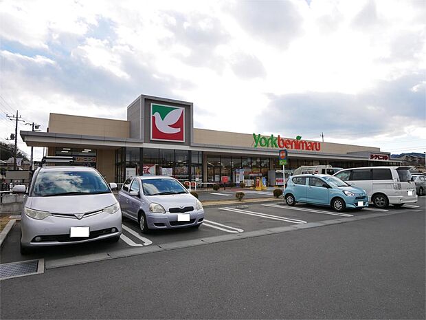ヨークベニマル日立川尻町店（1452m）