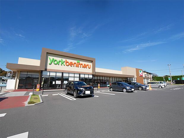 ヨークベニマル東海店(205m)