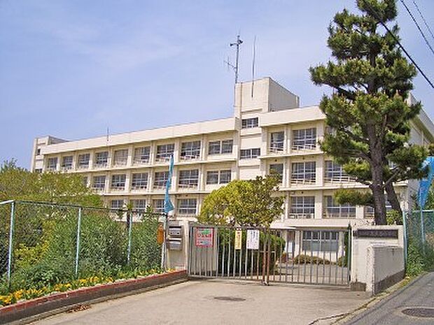 明石市立高丘西小学校 約550m