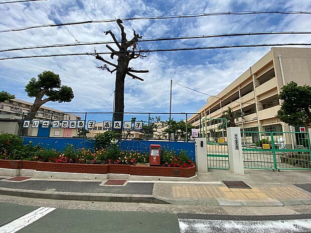 神戸市立高丸小学校　約540ｍ