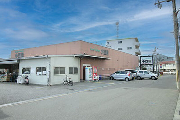 スーパーマーケット小西屋太寺店　徒歩8分（約580ｍ）