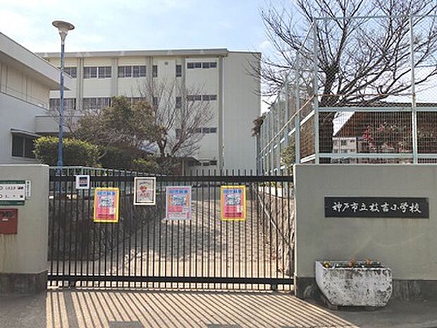 枝吉小学校　約350ｍ
