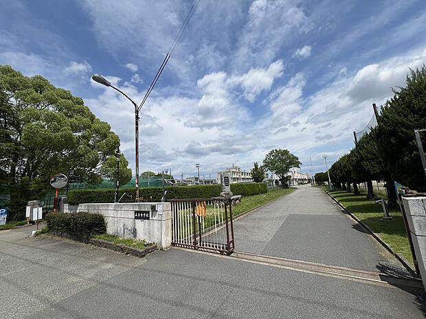 山手中学校 約590m