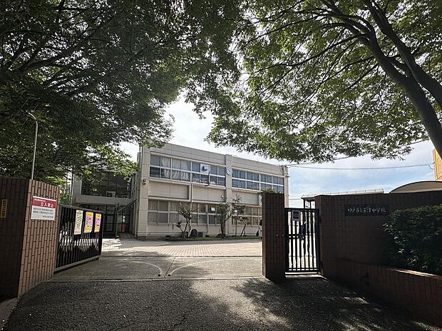 玉津中学校　約2990ｍ