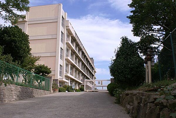 明石市立大蔵中学校　約560ｍ
