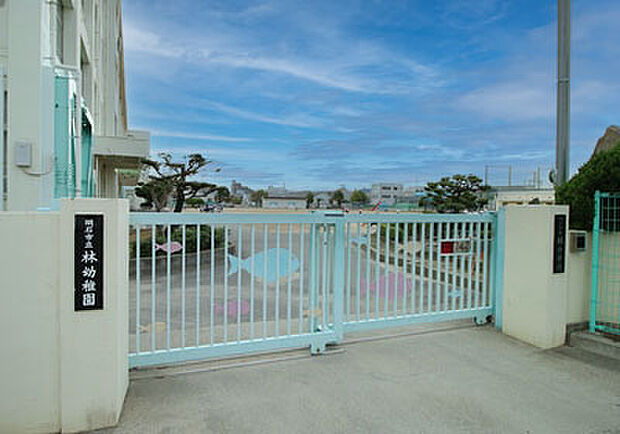 林幼稚園 約500m