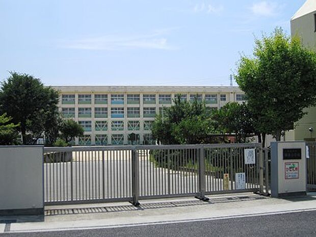 朝霧小学校　約710ｍ