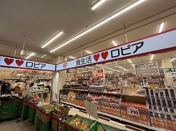 ロピア神戸岩岡店　約560ｍ