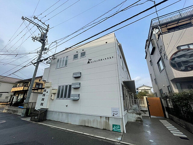 2 / 3