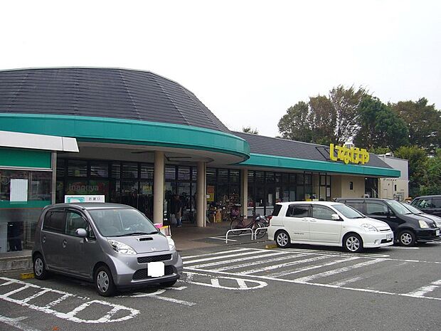 いなげやina21相模原下九沢店まで約2060ｍ