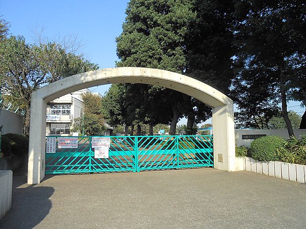 若松小学校まで約590m