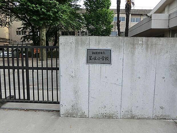 星が丘小学校まで約710m