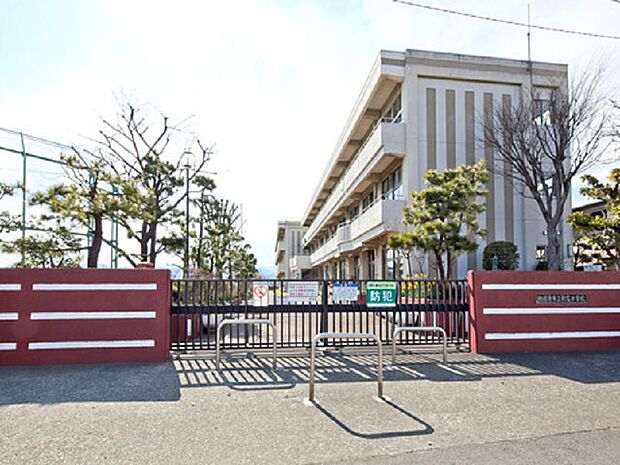 新宿小学校まで約1000m