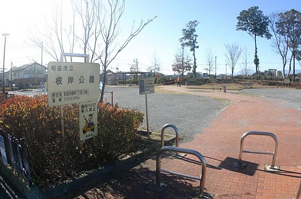 根岸公園まで約270ｍ