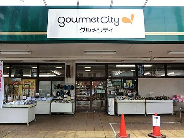 グルメシティ淵野辺本町店まで約1040ｍ