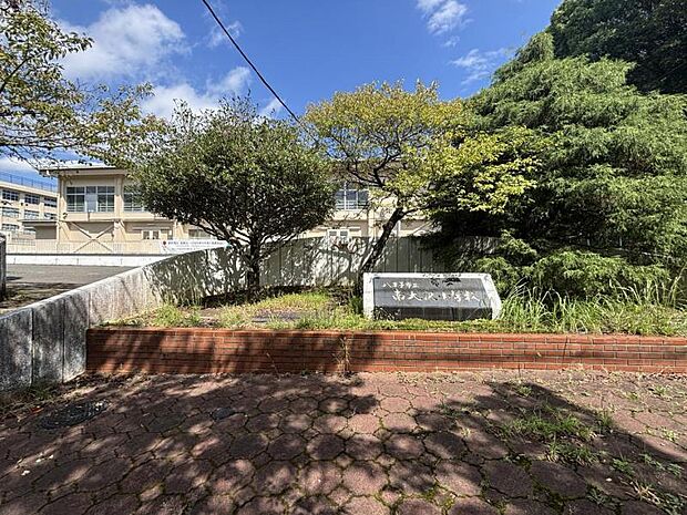 大沢小学校まで約180ｍ