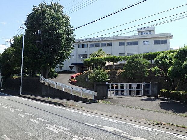 作の口小学校まで約980ｍ