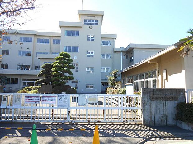 大島小学校まで約1030ｍ