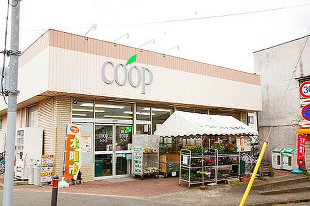 コープ麻溝台店まで約1030m