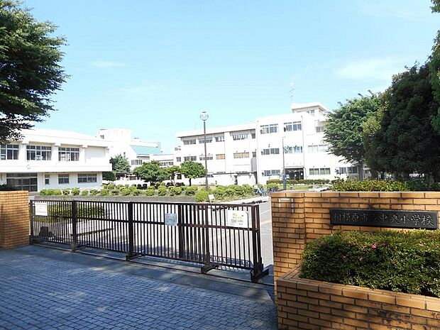 中央小学校まで約540m