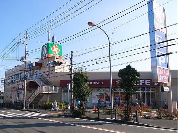 ライフ若松店まで約1260ｍ
