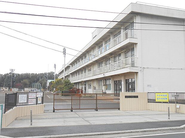 横山小学校まで約990ｍ