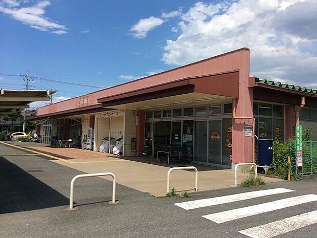 コープときわ店まで約1130m