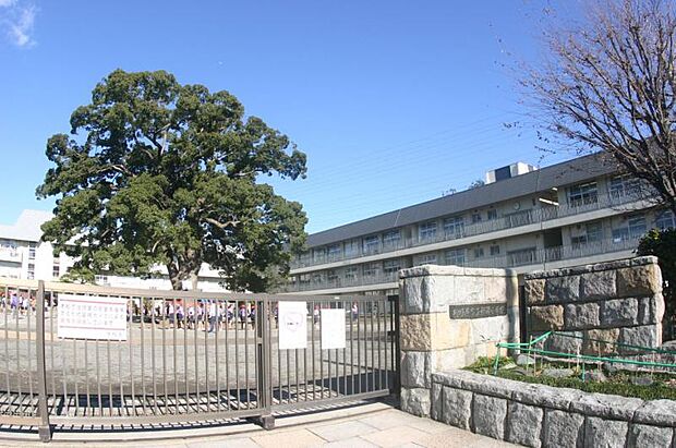 新磯小学校まで約980m