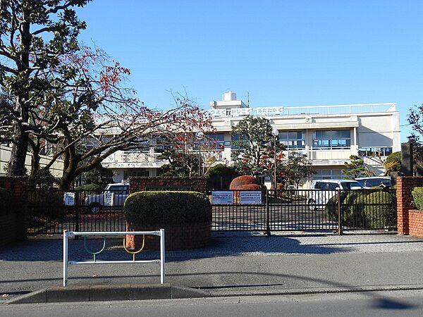 大沢小学校まで約910ｍ