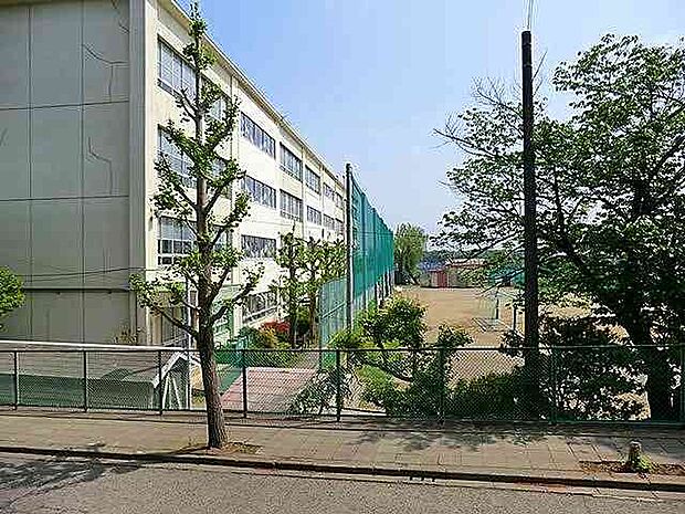 薬師中学校まで約950m