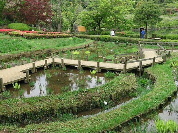 薬師池公園まで約1320m