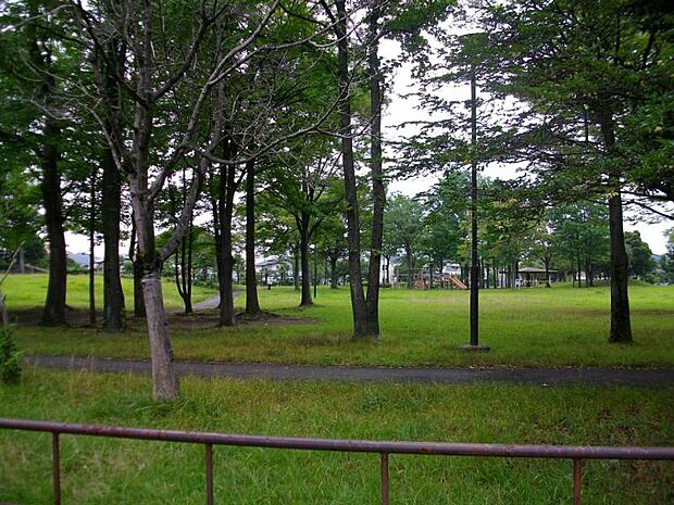 北野台中央公園まで約500ｍ