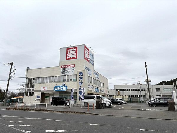 【周辺環境】ドラッグストア　ウエルシア沼南店まで553m　徒歩7分