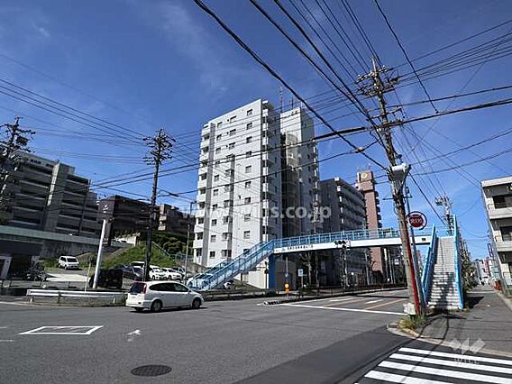 エクセレンス名...