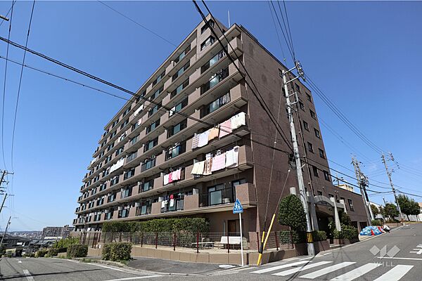 外観：323000571551