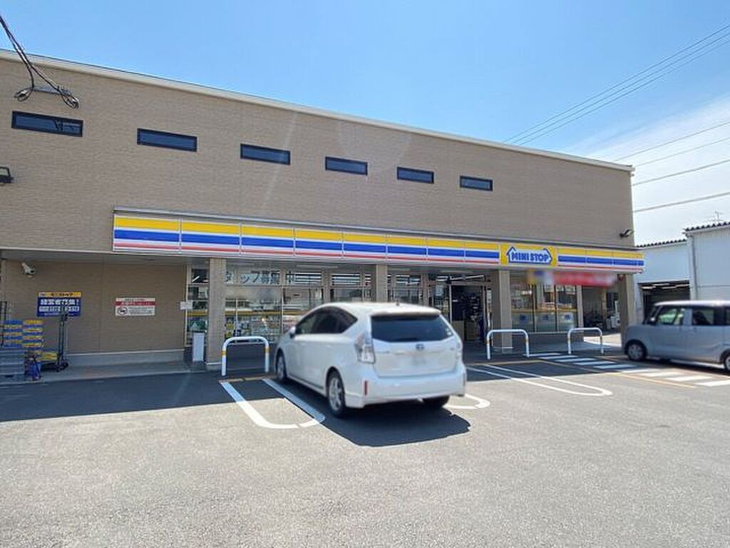 Image 7