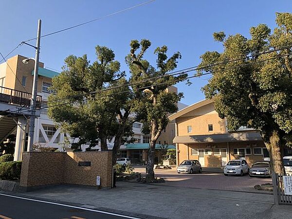 松前小学校 240m