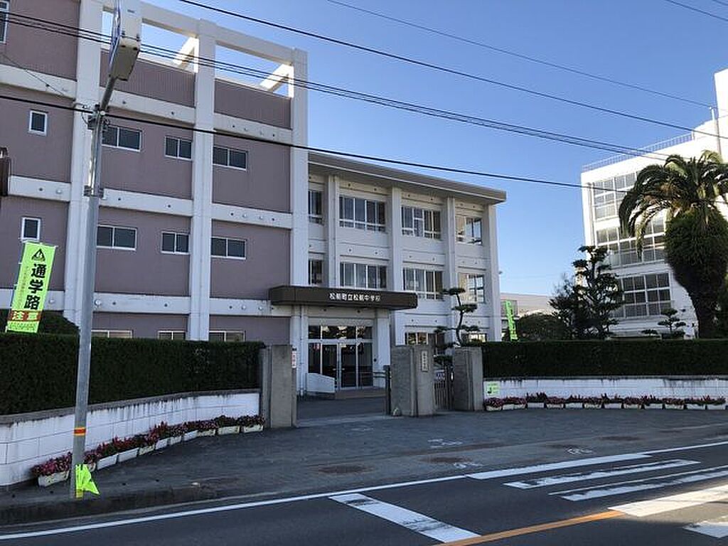 Image 19
