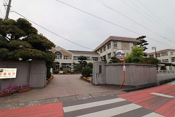 郡中小学校 1250m