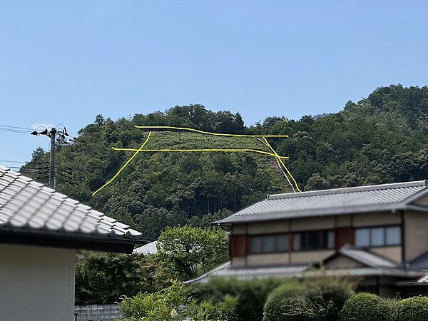 鳥居形