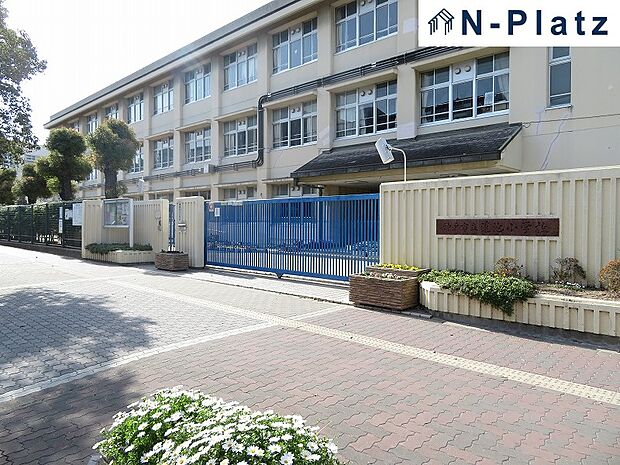 蓮池小学校まで約700m