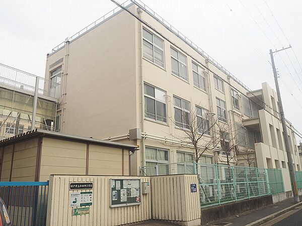 和田岬小学校まで約700ｍ